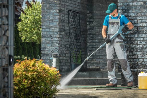Pre-Holiday Cleaning in Tower Lakes, IL